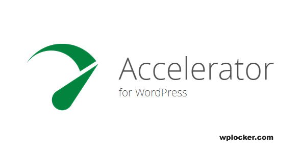 1717585962 seraphinite accelerator ful